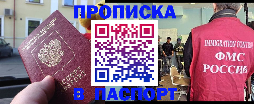 временная регистрация поиск в Бийске